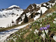 22 Dalla Baita del Camoscio ora salgo al Passo di San Simone sul sent. 115  